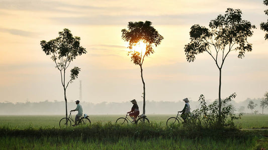 Un lugar por descubrir: Indonesia